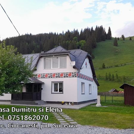 Casa Dumitru Si Elena Ciocanesti Bucovina Номер фото
