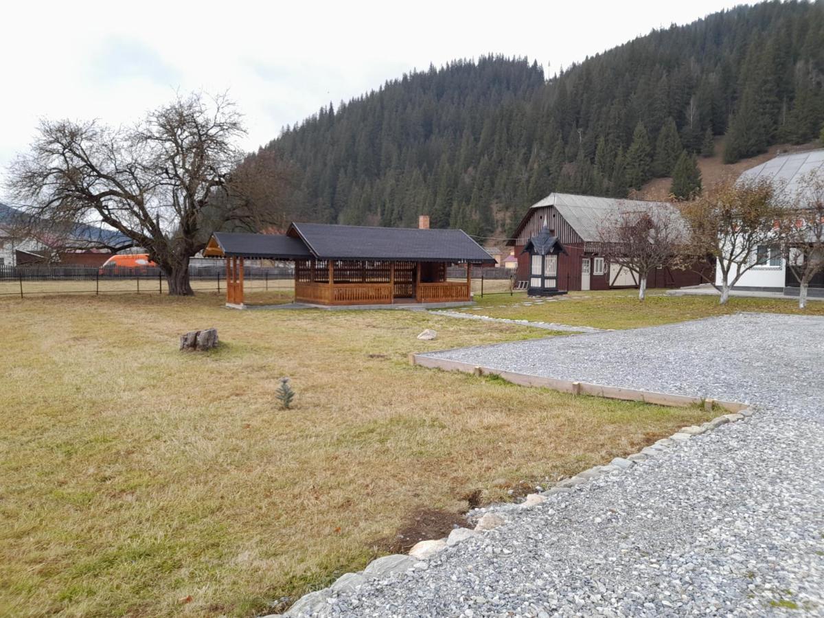 Casa Dumitru Si Elena Ciocanesti Bucovina Екстер'єр фото