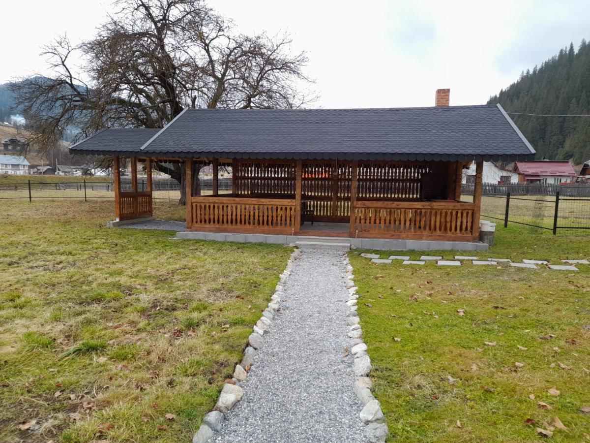 Casa Dumitru Si Elena Ciocanesti Bucovina Екстер'єр фото