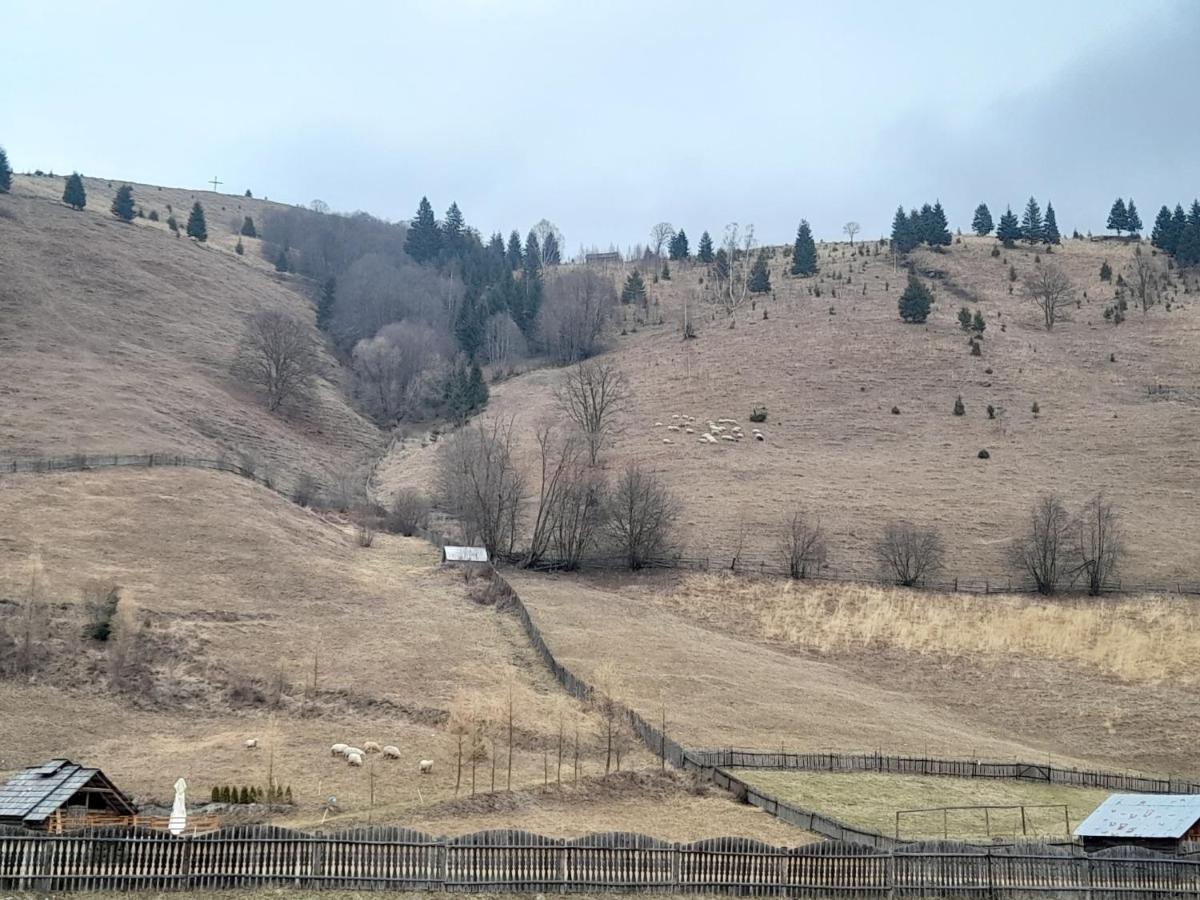 Casa Dumitru Si Elena Ciocanesti Bucovina Екстер'єр фото