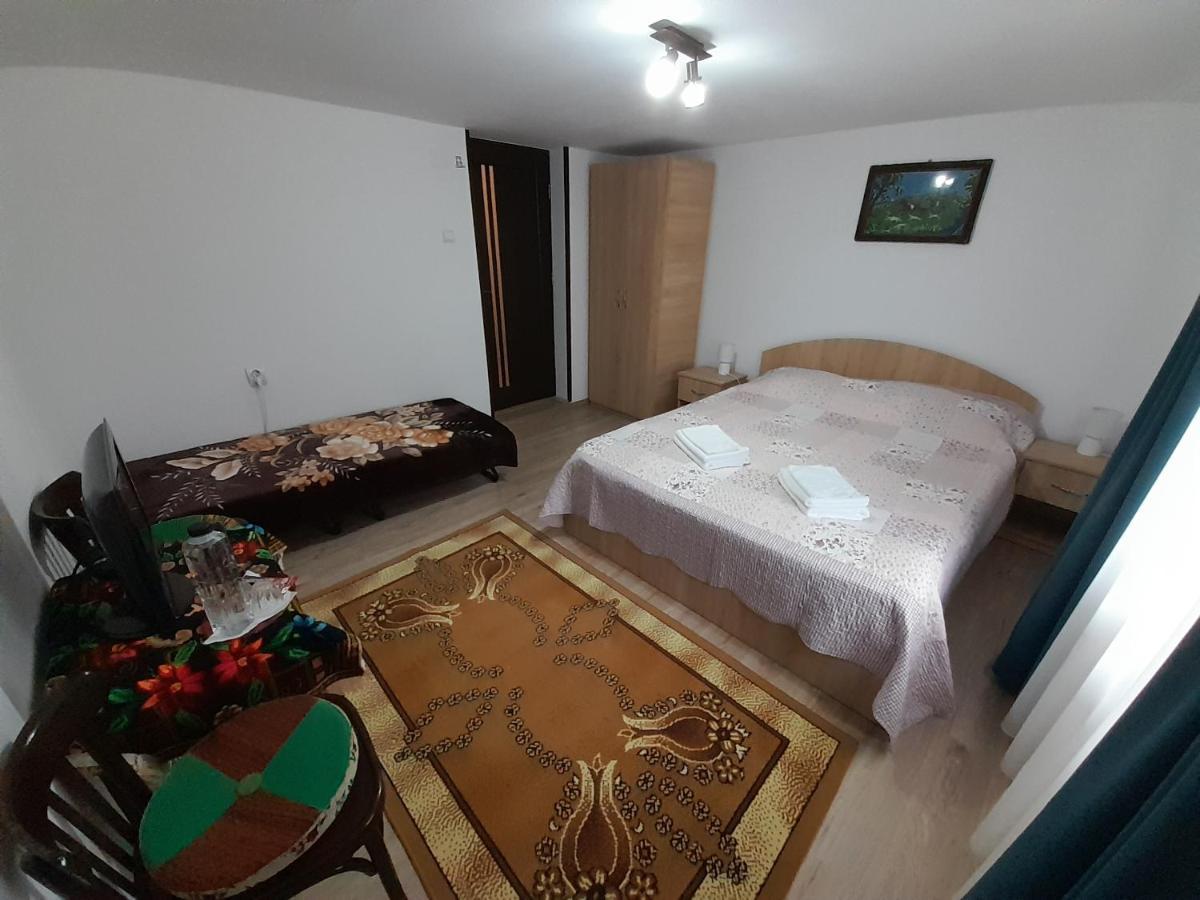 Casa Dumitru Si Elena Ciocanesti Bucovina Екстер'єр фото