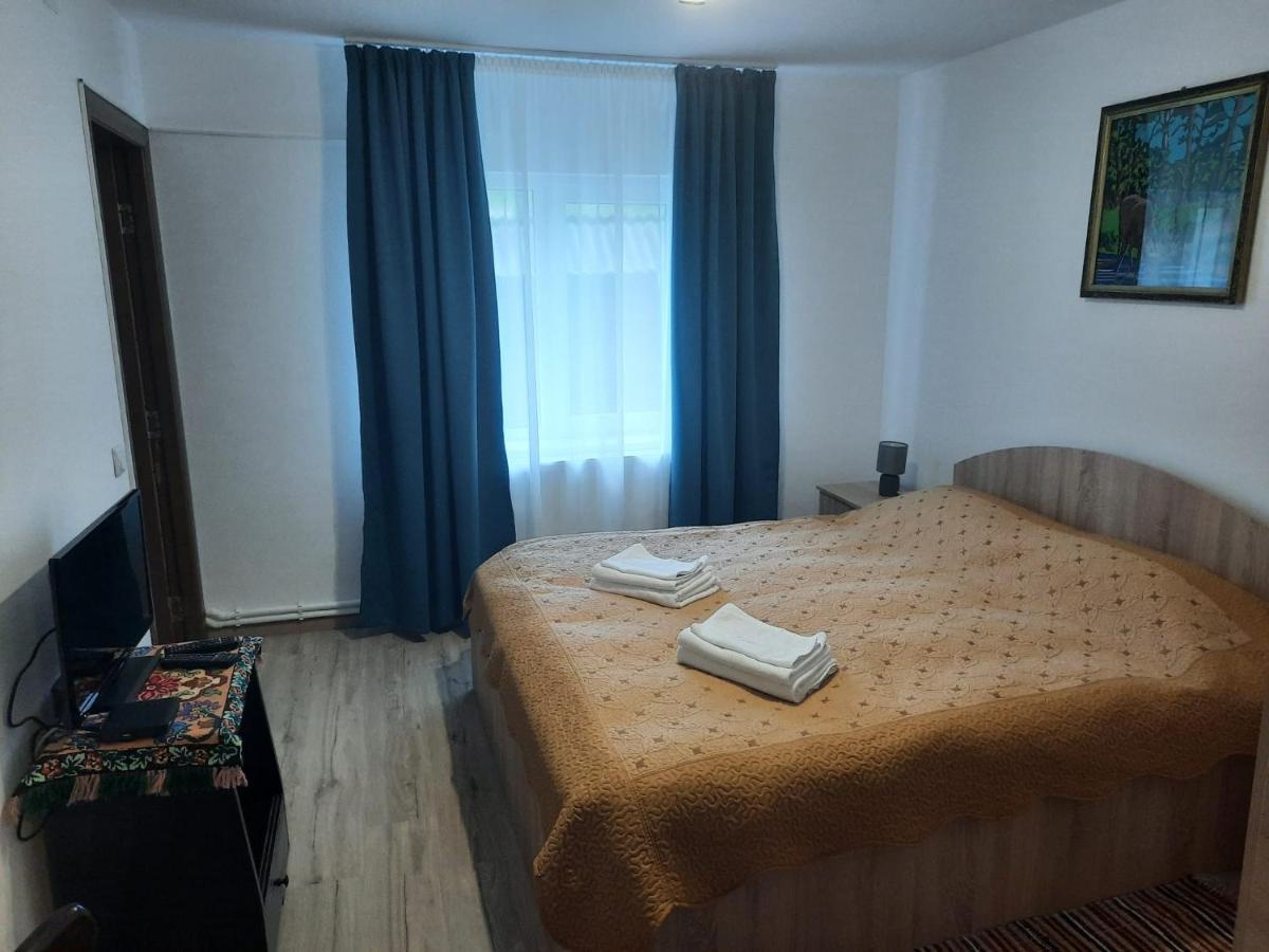 Casa Dumitru Si Elena Ciocanesti Bucovina Екстер'єр фото