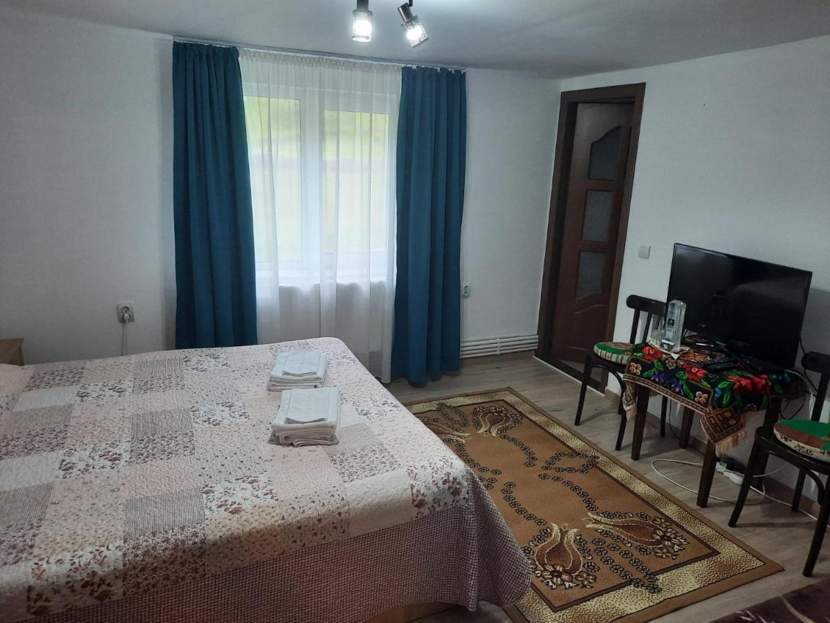 Casa Dumitru Si Elena Ciocanesti Bucovina Екстер'єр фото