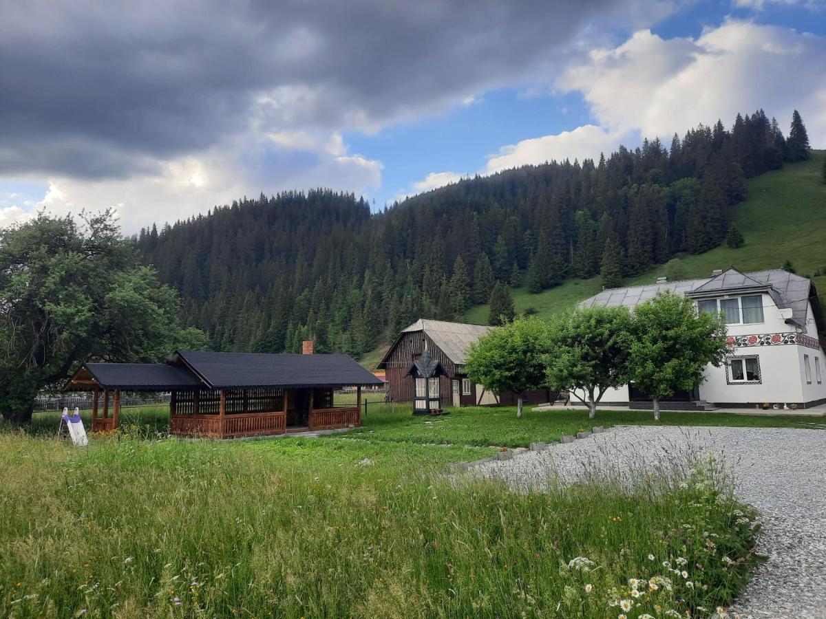 Casa Dumitru Si Elena Ciocanesti Bucovina Екстер'єр фото