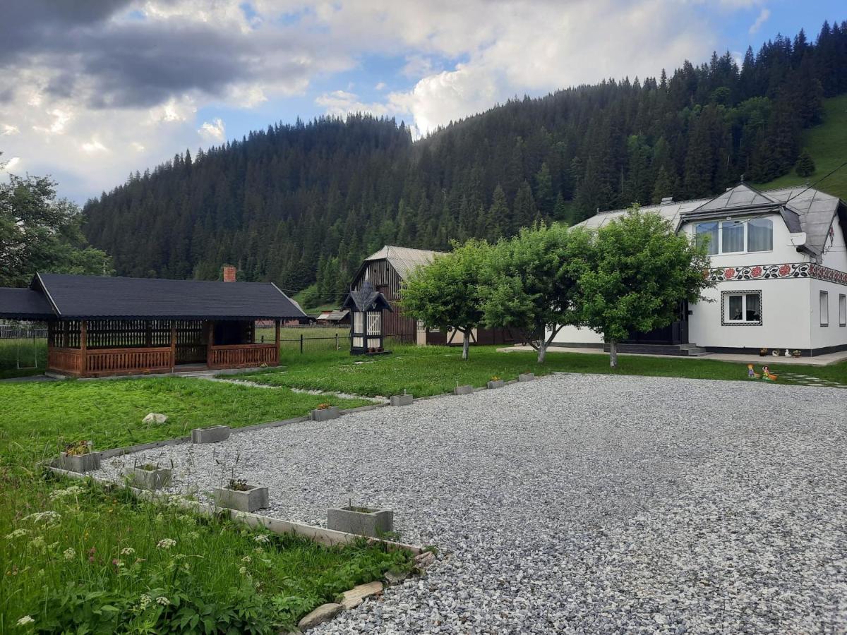 Casa Dumitru Si Elena Ciocanesti Bucovina Екстер'єр фото