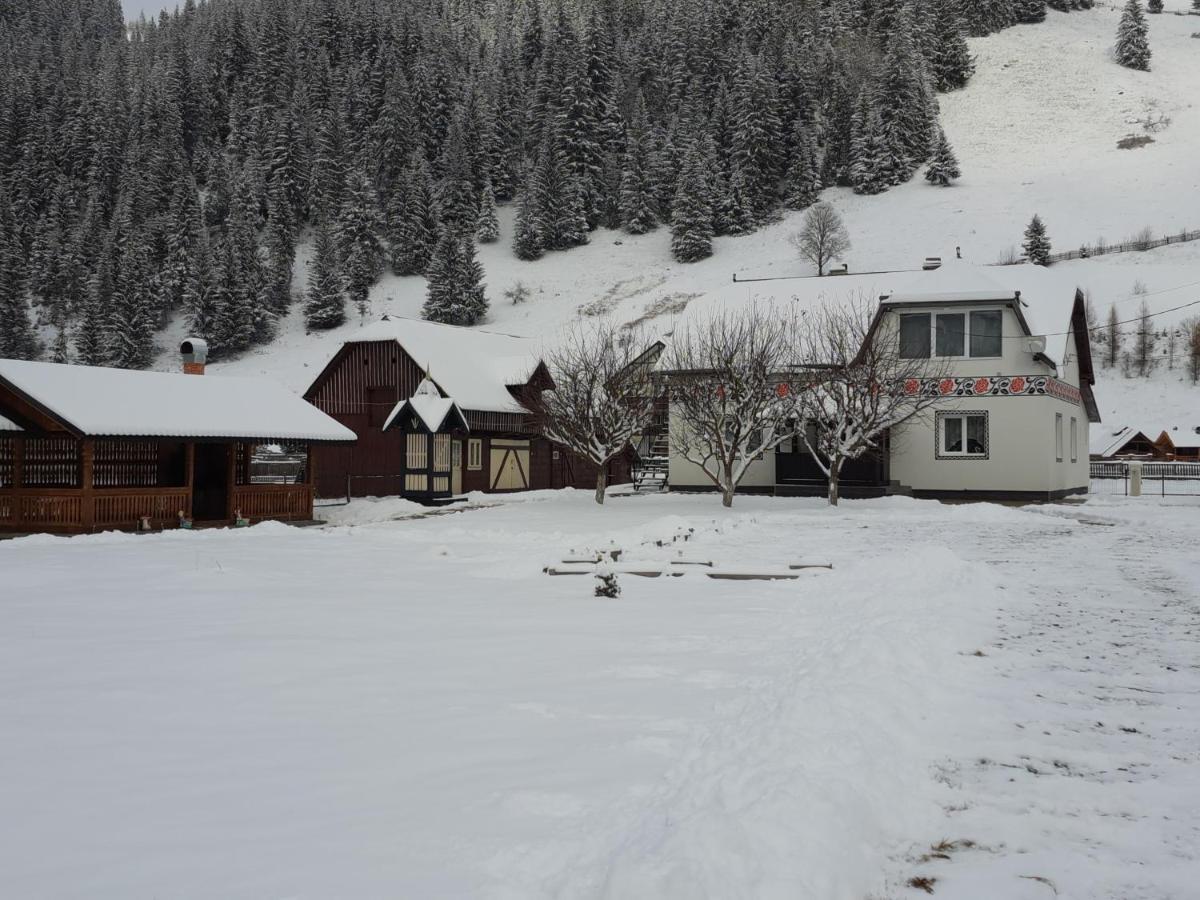 Casa Dumitru Si Elena Ciocanesti Bucovina Екстер'єр фото